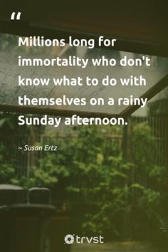 a quote from susan eitzt about the dangers of living in a rainy afternoon