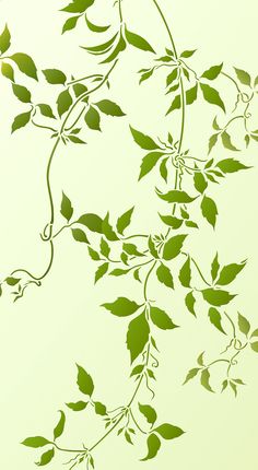 green leaves are growing on the branch of a tree in front of a white background