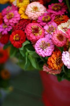 a bunch of colorful flowers in a red bucket