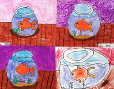 four drawings of goldfish in different stages of development