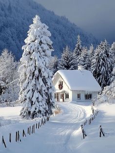 a house in the middle of a snowy field with trees on both sides and snow covered mountains behind it