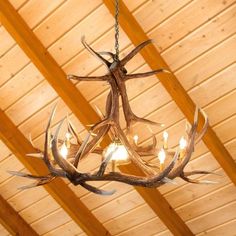 a chandelier with antlers hanging from it