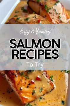 salmon and creamy sauce in a white dish with text overlay that reads easy & yummy salmon recipes to try