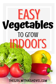 broccoli, peppers, and tomatoes with the words easy vegetables to grow indoors