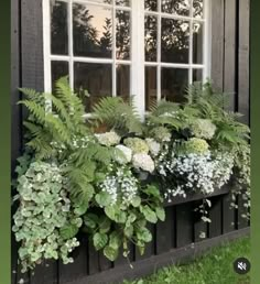 an instagram page with plants and flowers in the window sill on top of it