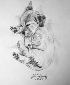 a drawing of a dog sleeping on its back