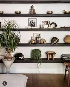 a living room filled with lots of shelves covered in potted plants and vases