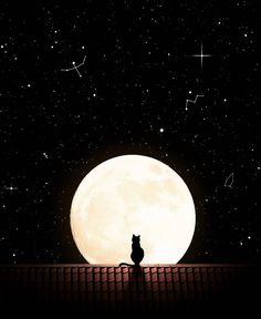 a black cat sitting on top of a roof in front of the moon and stars