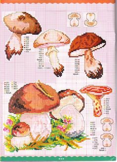 the cross stitch pattern shows different types of mushrooms