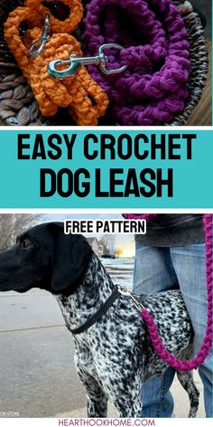 a dog is standing in front of a basket full of crochet leashes with the text, easy crochet dog leash free pattern