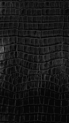 black alligator skin textured up close to the camera, with no one in it