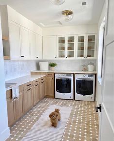 a dog is sitting on the kitchen floor in front of the washer and dryer