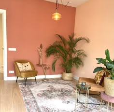 a living room with two chairs and a rug in front of the couch is painted pink