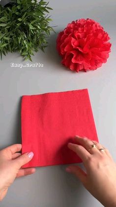 two hands are holding a piece of red cloth next to a potted plant and a flower