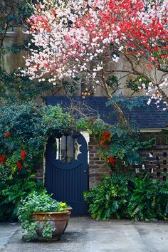 a blue gate surrounded by trees and flowers in front of a brick building with a potted plant next to it