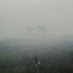 a person standing in the middle of a field on a foggy day