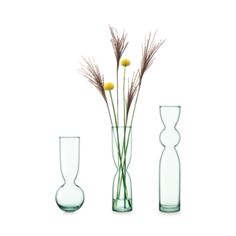 three vases with flowers in them on a white background