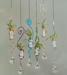 several hanging glass vases with plants in them and some dangling from the ceiling ornament