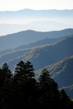 the mountains are covered with trees and fog in the distance, as seen from an overlook point