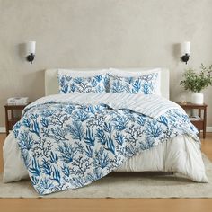 a bed with blue and white comforters in a room next to a plant on the wall