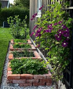 a garden filled with lots of plants next to a fence