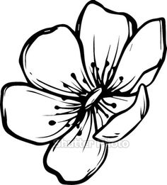 a black and white drawing of a flower with petals on the petals is shown in this image