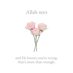 three pink roses with the words, allah sees and he knows you're trying that's more than enough