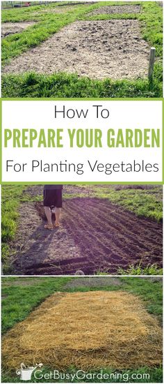 how to prepare your garden for planting vegetables