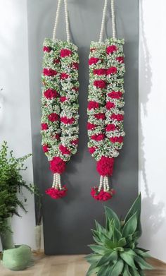 two red and white flowers hanging from the side of a wall next to a potted plant