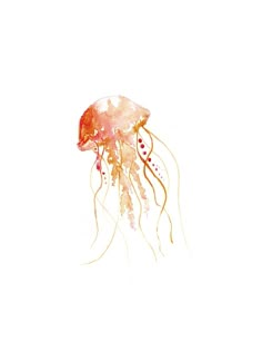 a watercolor drawing of a jellyfish on a white background with red and yellow colors