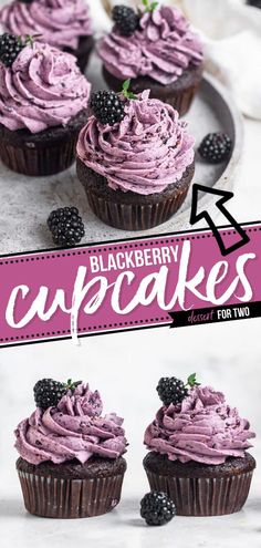 Blackberry Cupcakes, easy dessert recipes, sweet treats Cupcake Cake Recipes, Chocolate Cupcakes With Blackberry Buttercream, Chocolate Blackberry Cupcakes, Blackberry Cream Cheese Frosting, Blackberry Cupcakes Recipes, Cupcake Recipes Valentines Day, Valentines Day Cupcake Ideas, Blackberry Recipes Dessert, Blackberry Frosting Recipe