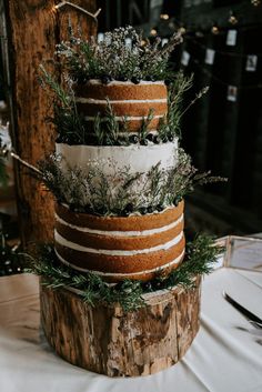 three tiered cake decorated with greenery and white frosting on a tree stump