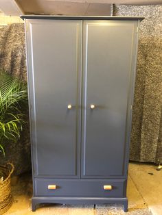 a blue armoire sitting next to a potted plant on top of a floor