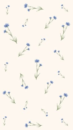 blue flowers on a white background with green stems in the foreground and light pink back ground