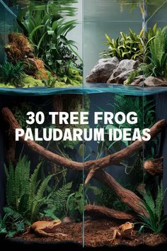 an aquarium filled with plants and trees in it's sides, the text reads 30 tree frog paluarium ideas