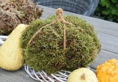 DIY Moss Pumpkins - Fall Decor Idea | Hometalk Diy Pumpkin Carving, Diy Moss, Pumpkin Fall Decor, Quick Diy, How To Make Paper Flowers, Crepe Paper Flowers, Fall Outdoor Decor, Diy Pumpkin, Fabric Pumpkins