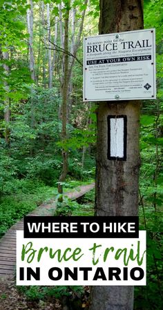 a sign on a tree that says where to hike the bruce trail in ontario, canada