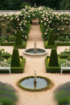 a formal garden with white roses and water fountain in the center, surrounded by trimmed hedges