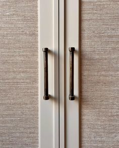 an open door with two handles on each side and a brown handle on the other side