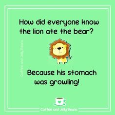 a lion with the caption how did everyone know the lion ate the bear? because his stomach was growing