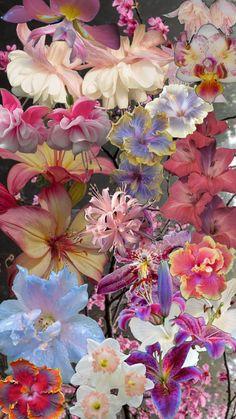 a bunch of flowers that are hanging from a tree in front of some trees and bushes