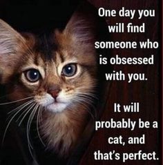 a cat is peeking out from behind a door with the caption, one day you will find someone who is obsesed with you