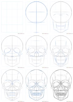 how to draw a human skull with different angles and head length, step by step