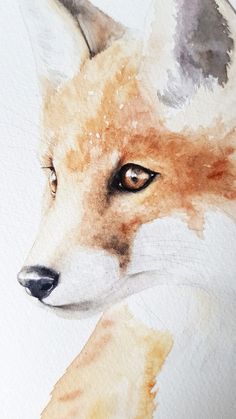 a watercolor painting of a fox's face