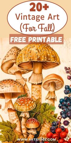 an image of mushrooms and berries with the text vintage art for fall free printable