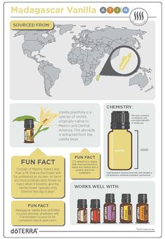 Doterra Madagascar Vanilla, Vanilla Oil, Essential Oil Diffuser Blends Recipes, Lavender Lemon, Vanilla Essential Oil