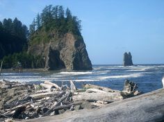 an ocean view with rocks and trees in the foreground, and another rock outcropping in the background