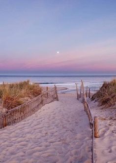 a path leading to the beach with sand and grass on both sides, at sunset