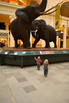 two children are playing with an elephant statue in the middle of a mall area,