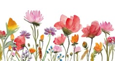 watercolor painting of pink and orange flowers on a white background with green stems in the foreground